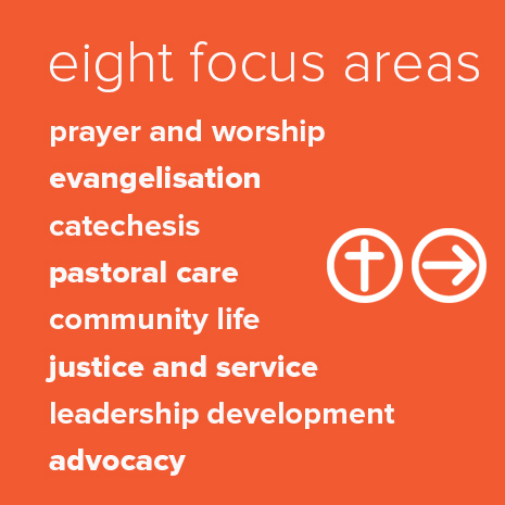 focus areas copy